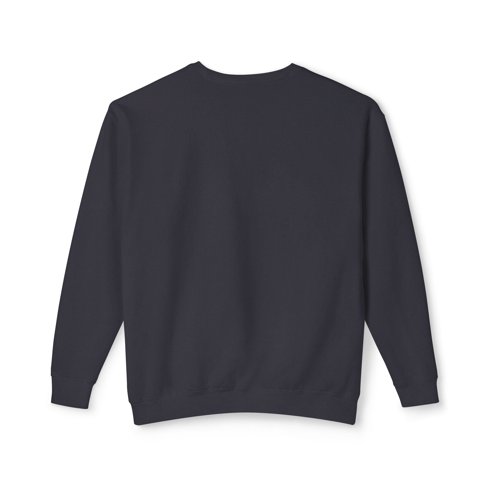 Equality Crewneck Sweatshirt | Unisex Lightweight Pullover, Casual Wear, Equality Message, Gift for Activists, Everyday Comfort