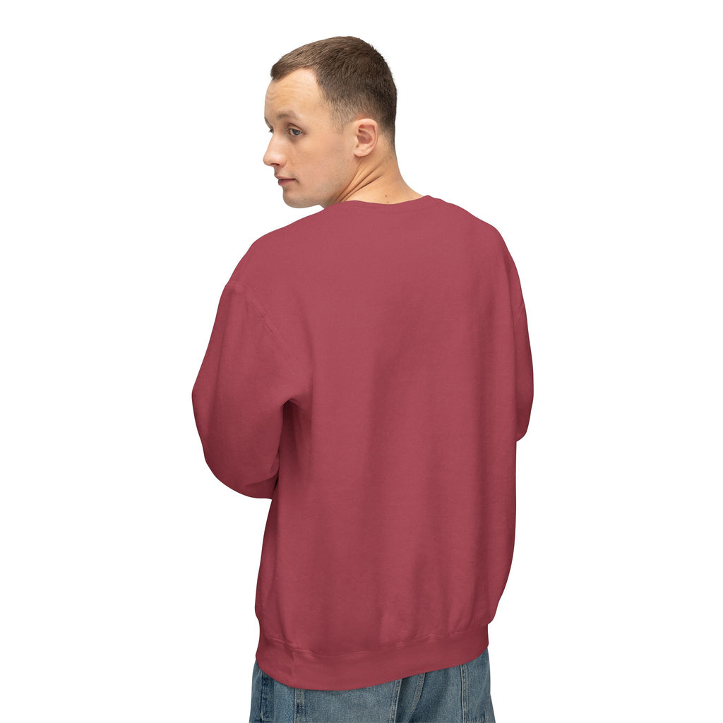 Equality Crewneck Sweatshirt | Unisex Lightweight Pullover, Casual Wear, Equality Message, Gift for Activists, Everyday Comfort