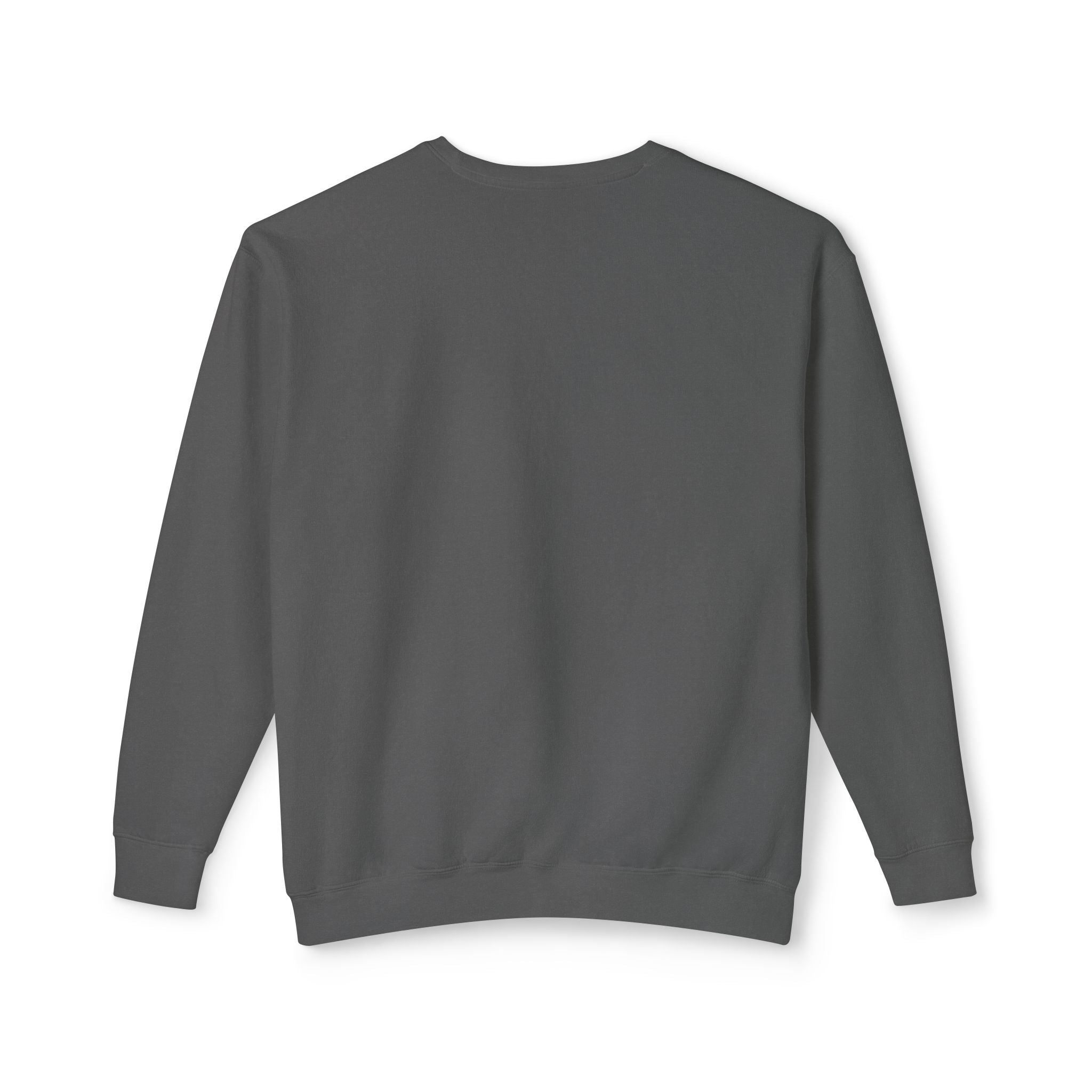 Equality Crewneck Sweatshirt | Unisex Lightweight Pullover, Casual Wear, Equality Message, Gift for Activists, Everyday Comfort