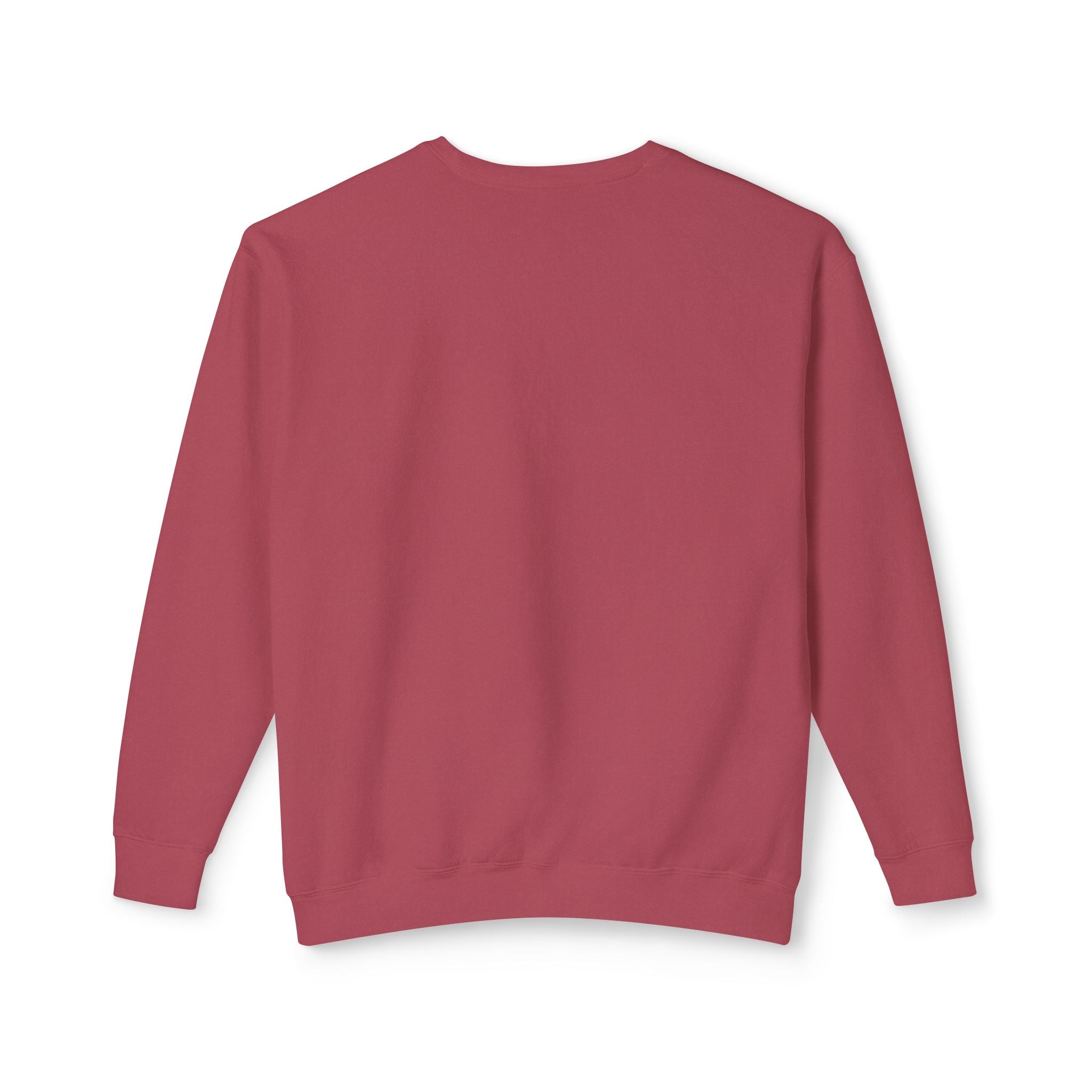 Equality Crewneck Sweatshirt | Unisex Lightweight Pullover, Casual Wear, Equality Message, Gift for Activists, Everyday Comfort